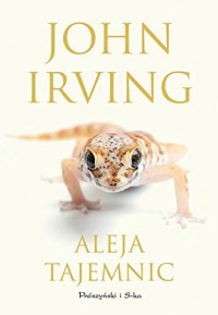 Aleja tajemnic - Irving John