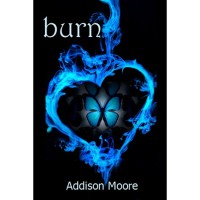 Burn (Celestra, #3) - Addison Moore