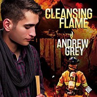 Cleansing Flame - Andrew  Grey