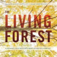 The Living Forest: A Visual Journey into the Heart of the Woods - Robert Llewellyn, Joan Maloof