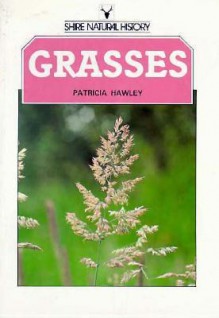 Grasses - Patricia Hawley