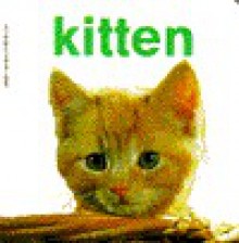 KITTEN (Baby Animal Board Books) - Carol Watson