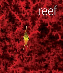 Reef - Thomas Marent