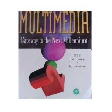 Multimedia: Gateway to the Next Millennium - Robert Aston, Robert Aston