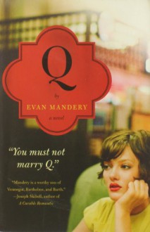 Q: A Novel - Evan Mandery