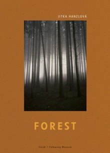 Jitka Hanzlova: Forest - Jikta Hanzlova, John Berger