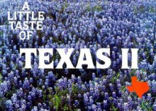 A Little Taste of Texas II - Barbara C. Jones