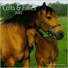 Colts & Fillies - Bob Langrish