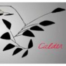 Calder: Gravity And Grace - Carmen Giménez, Alexander S.C. Rower, Francisco Calvo Serraller