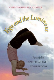 Yoga and the Luminous: Patanjali's Spiritual Path to Freedom - Christopher Key Chapple