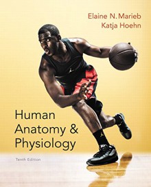 Human Anatomy & Physiology (10th Edition) (Marieb, Human Anatomy & Physiology) - Elaine N. Marieb, Katja N. Hoehn