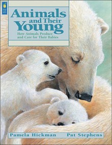 Animals and Their Young: How Animals Produce and Care for Their Babies - Pamela Hickman, Pat Stephens