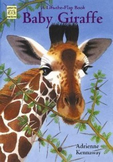 Baby Giraffe: A Lift-The-Flap Book - Adrienne Kennaway