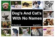 Dogs n Cats With No Names Beta Version - richard sandoval