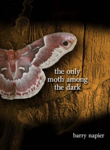 The Only Moth Among the Dark - Barry Napier