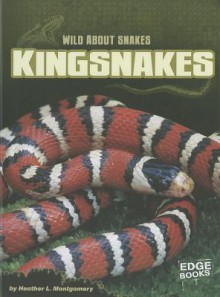 Kingsnakes - Heather L. Montgomery, Joe Maierhauser