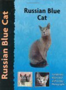 Russian Blue Cat - Dennis Kelsey-Wood