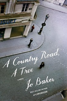 A Country Road, A Tree: A novel - Jo Baker