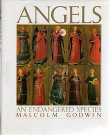 Angels : An Endangered Species by Malcolm Godwin (1990-11-15) - Malcolm Godwin