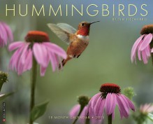 Hummingbirds 2015 Wall Calendar - Willow Creek Press