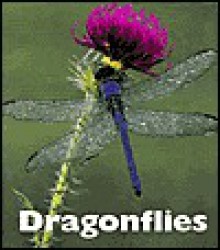 Dragonflies - Patrick Merrick