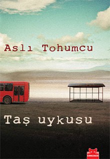 Taş Uykusu - Aslı Tohumcu