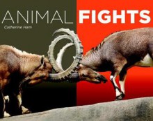 Animal Fights - Catherine Ham