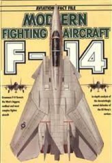 Modern Fighting Aircraft Series #8: F 14 Tomcat - Spick