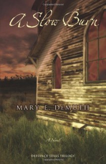A Slow Burn - Mary E. DeMuth