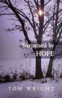 Surprised by Hope: Original, provocative and practical - Tom Wright