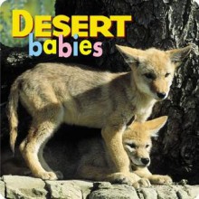 Desert Babies - Northword Books for Young Readers, John Shaw, Aimee Jackson, Kristen McCurry, North Work, Bruce Coleman