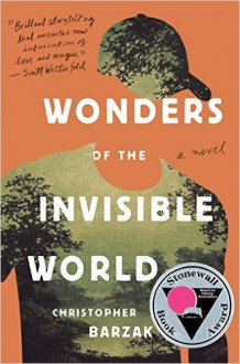 Wonders of the Invisible World - Christopher Barzak