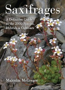 Saxifrages: The Definitive Guide to 2000 Species, Hybrids & Cultivars - Malcolm McGregor