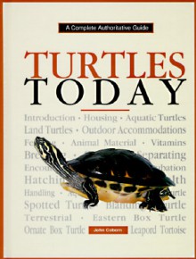 Turtle Today - John Coborn