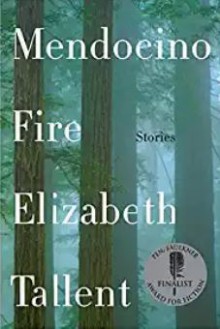 Mendocino Fire: Stories - Elizabeth Tallent