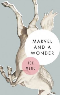 Marvel and a Wonder - Joe Meno