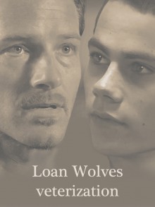 Loan Wolves - veterization