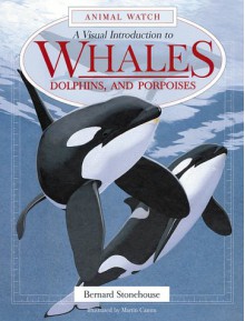 A Visual Introduction to Whales, Dolphins, and Porpoises - Bernard Stonehouse