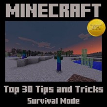 Minecraft: Top 30 Tips and Tricks in Survival Mode - Jason Scotts