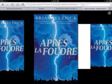 Après la Foudre - Selznick, Brian