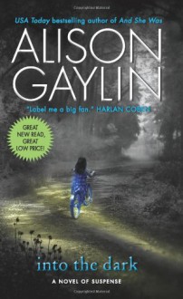 Into the Dark - Alison Gaylin