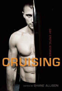 Cruising: Gay Erotic Stories - Shane Allison