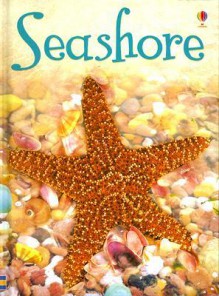 Seashore: Level 1 (Usborne Beginners) - Lucy Beckett-Bowman