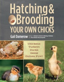 Hatching & Brooding Your Own Chicks: Chickens, Turkeys, Ducks, Geese, Guinea Fowl - Gail Damerow