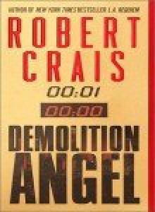 Demolition Angel - Robert Crais