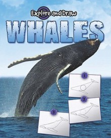 Whales: Drawing and Reading - Gare Thompson