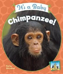 It's a Baby Chimpanzee! - Kelly Doudna