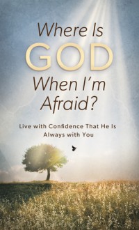 Where Is God When I'm Afraid?: Live with Confidence That He Is Always with You - Pamela L. McQuade