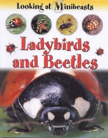 Ladybirds And Beetles (Looking At Minibeasts) - Sally Morgan