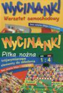 Sprawa zdenerwowanej wspólniczki - Erle Stanley Gardner